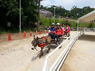 2014 동센터 자원봉사상담..