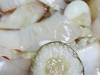 양배추 오이 양파 피클