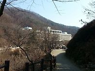 2017년도 사회복지학과 춘..