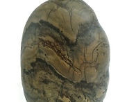 녹수청산 ( 綠水靑山 )