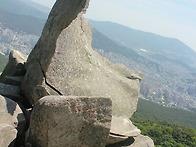 등업신청합니다.