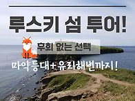 루스키섬 투어 후회 없는 ..