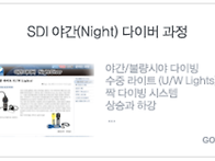 SDI 야간(Night) 다이버..