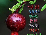 믿음 소망 사랑