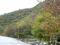 10월 8일 현재입니다,,