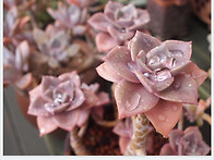 봄비에 행복한 아이들...