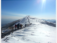 요즘 소백산은'''