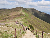 소백산 등산로