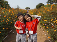 올림픽공원 들꽃마루♡