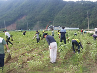 백옥마을 /한국청소년수련..