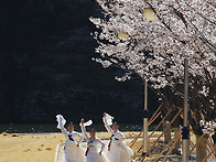 꽃길