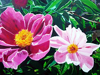 여름의 길목에서..