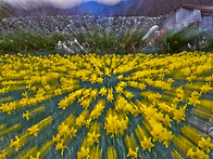 출사지 소개. (공곶이)