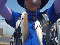 8월 11일 무창포 전투호 ..
