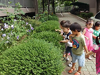 7월 5일 활동사진..