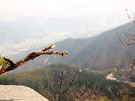 3/23 (토) 지압바위가 일..