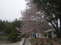 2010년 4월 18일 학교 모..