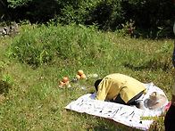 미자고모님 제주나드리 0..