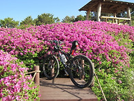 백양산 정상 산악MTB