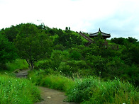 신어산 정상