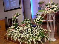 2013년 5월 19일 강대상꽃..