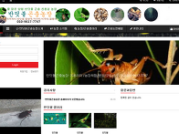 곤충농장 홈페이지 제작