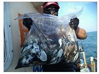 오천 해상호 갑오징어 낚시 다녀왔습니다