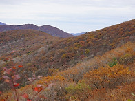 지리산의 가을