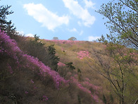 여수 영취산