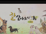 스카이 펫파크 ＜잘 살아보..