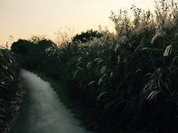 부산청소년상담센..