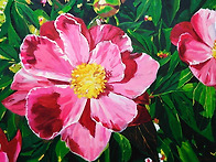 여름의 길목에서..