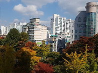 항상 여기 조망이좋앗읍니..