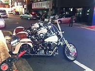 늙은 백마 3마리..