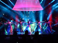 중국 BDC 페스티벌 활동 ..