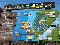 대부도해솔길_2017. 4...