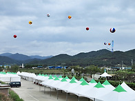 석곡 코스모스 축제장