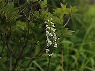 실시간 사진 감상