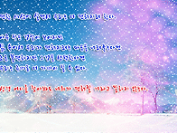 조금 덜 편하면 안되나요?..