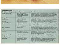 목조주택 데크시공방법 썬..