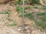 드디어 농장 완성