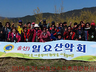 2019.3.24.구례산수유축제..