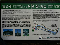 오대산 월정사 탐방기