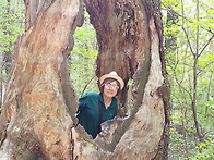 오대산 월정사 탐방기