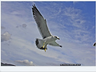 10월17일 통영 대매물도 ..