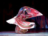 제3회 2008 KOREA 세계벨리댄스대회-5