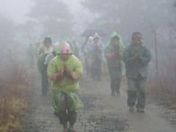 금지암표지석에서출발