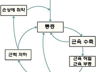 통증의 악순환