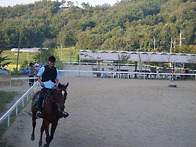 승마장에서 배울때