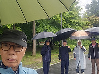 20250501 도란도란 양재시..